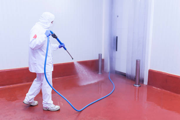 Best Patio and Deck Pressure Washing  in Easton, CA