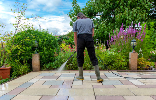 Best Spring Cleaning  in Easton, CA